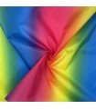 Lightweight waterproof rainbow fabric for linings, umbrellas and more rainbow print