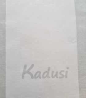 Tessuto non tessuto biadesivo termoadesivo per applicazioni kadusi
